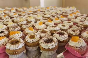 11390498_493041324182215_152010137951981775_n